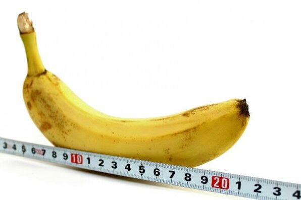 pomiar penisa na przykładzie banana
